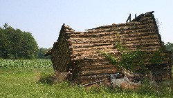 Crumbling tobacco barn in Surry County, NC