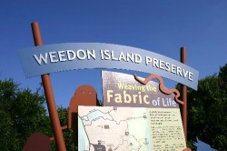 The Weedon Island Preserve in Pinellas County sits just off a busy highway on the way to Tampa